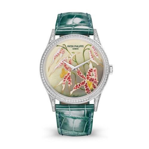 replica Patek Philippe - 5077/100G-032 Calatrava 5077 White Gold / Diamond / Orchids watch
