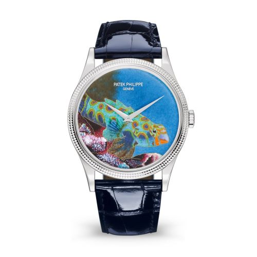 replica Patek Philippe - 5177G-013 Calatrava 5177G Italian Scenes / Tropical Fish watch